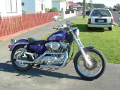 1991 Harley-Davidson XLH Sportster 883 Hugger photo